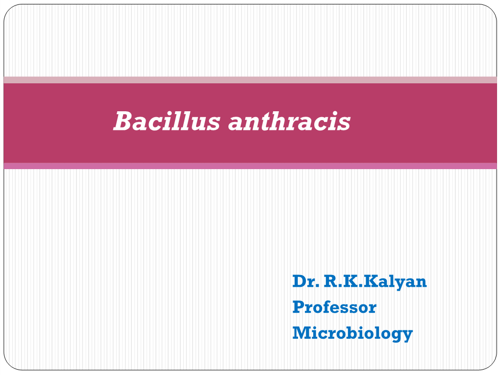 Bacillus Anthracis