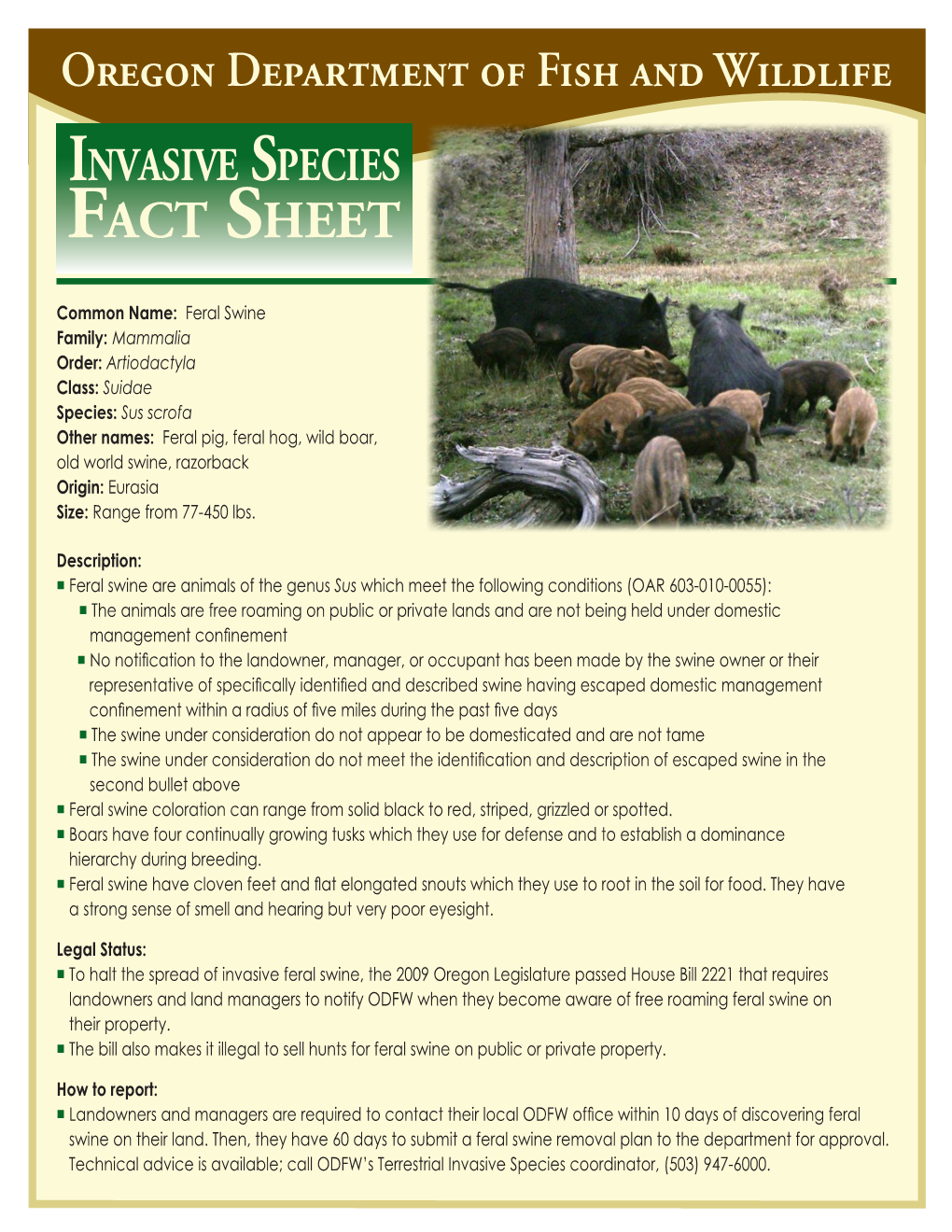 Feral Swine Fact Sheet