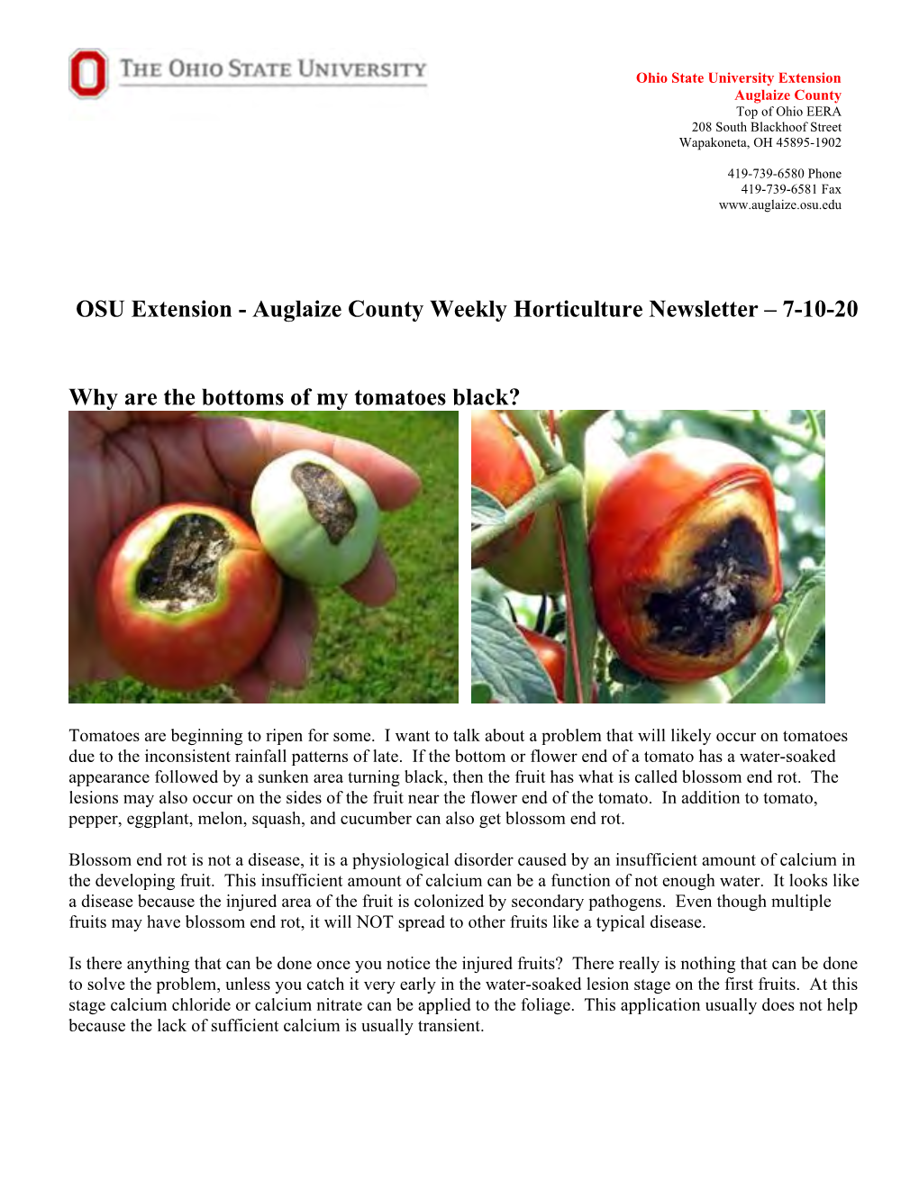 OSU Extension - Auglaize County Weekly Horticulture Newsletter – 7-10-20