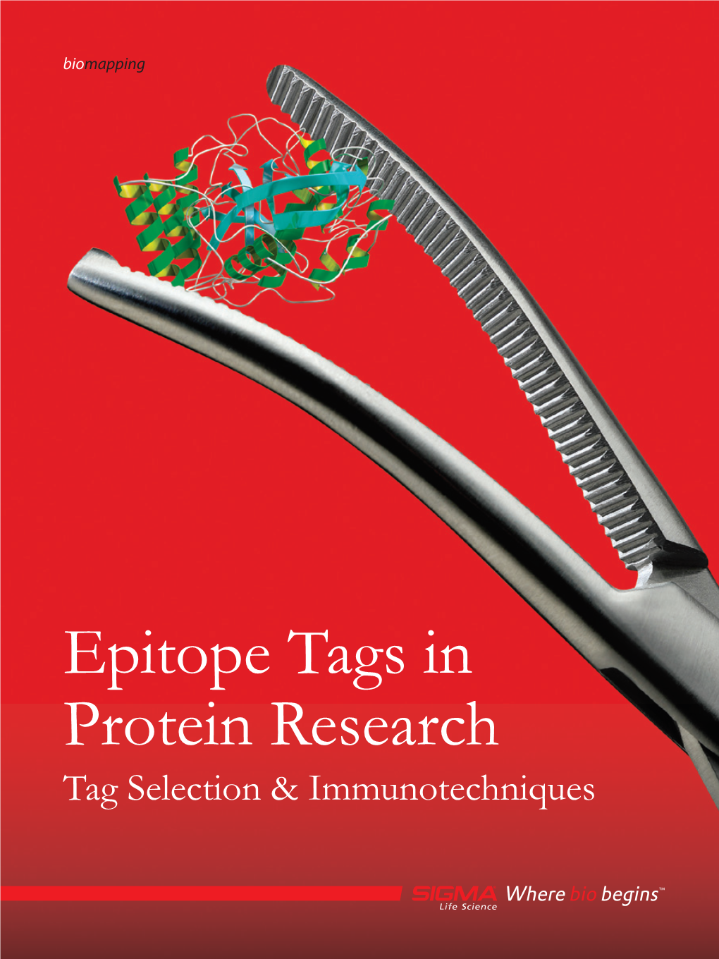 Epitope Tags in Protein Research Tag Selection & Immunotechniques Biomapping