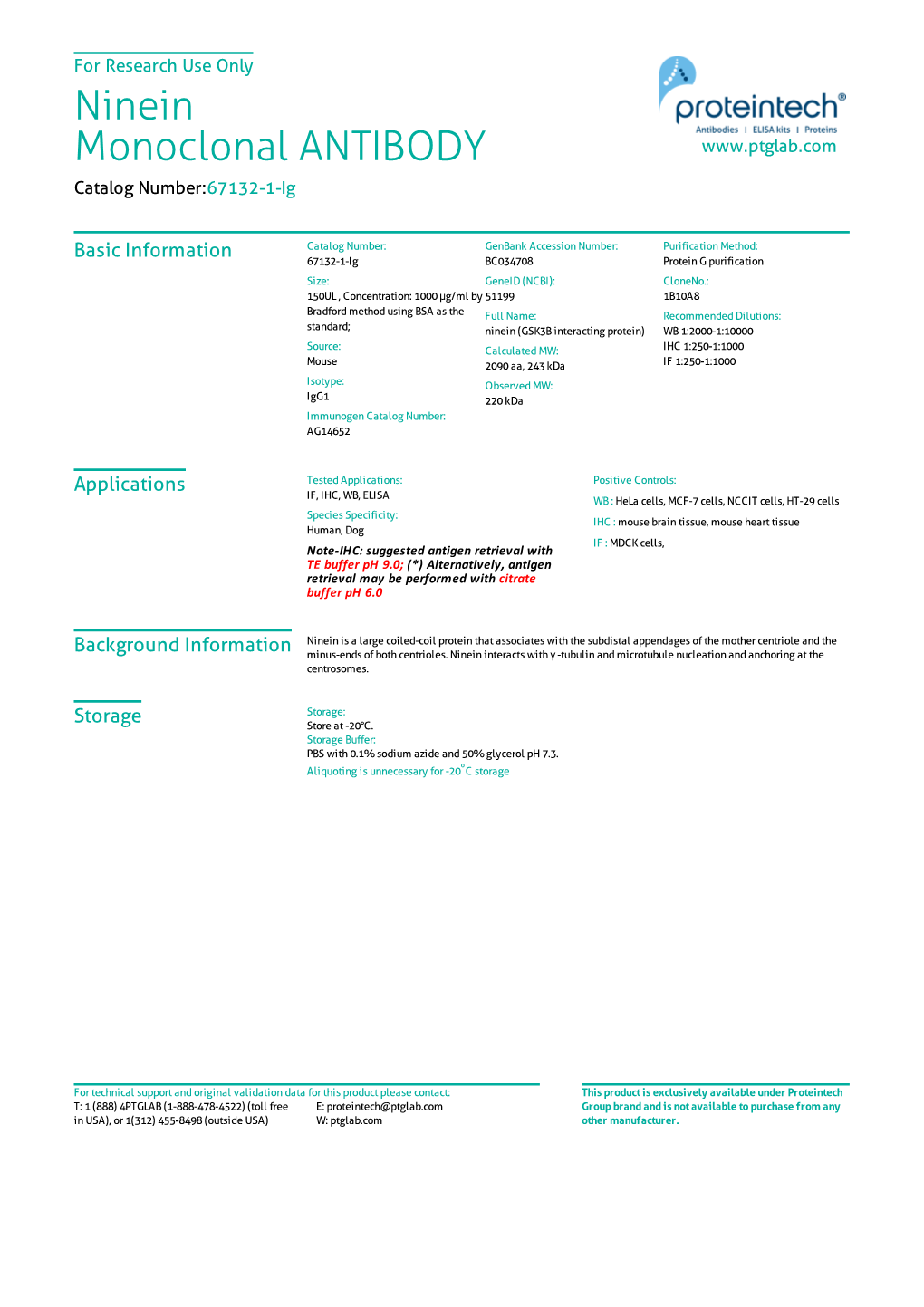 Ninein Monoclonal ANTIBODY Catalog Number:67132-1-Ig