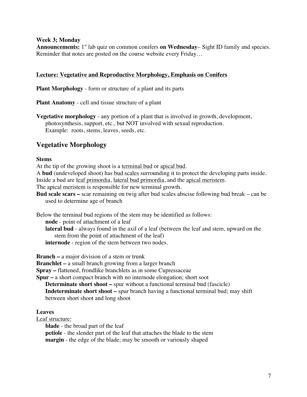 Vegetative Morphology - Any Portion of a Plant That Is Involved in Growth, Development, Photosynthesis, Support, Etc., but NOT Involved with Sexual Reproduction