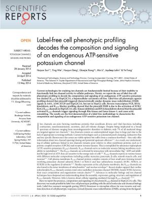Label-Free Cell Phenotypic Profiling Decodes the Composition And