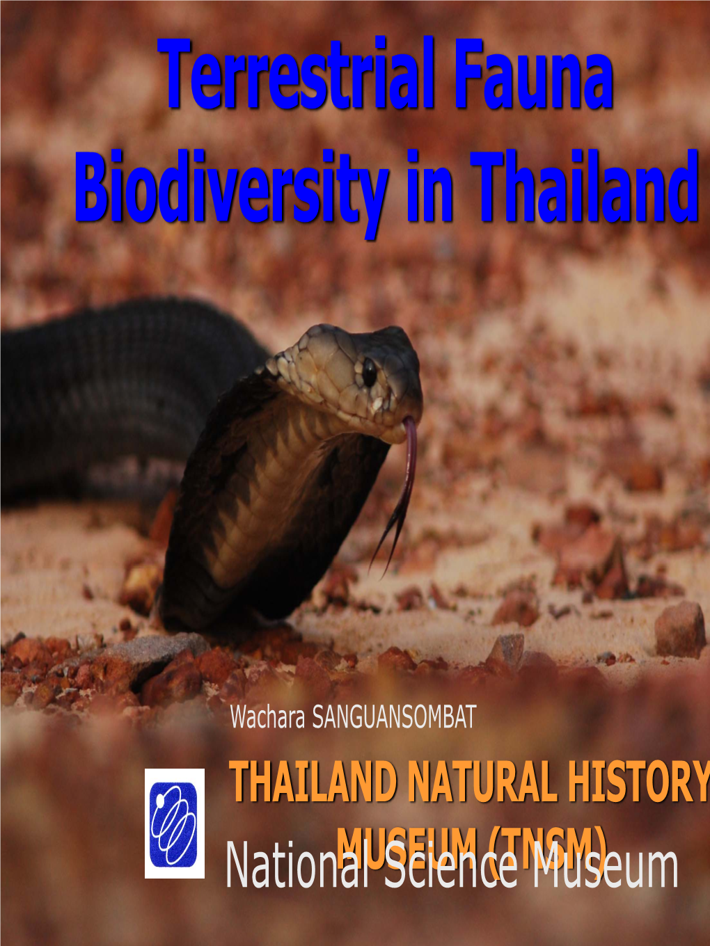 Thailand Natural History Museum (Tnsm)