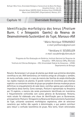 Identificação Morfológica Dos Breus (Protium Burm. F. E Tetragastris Gaertn.) Da Reserva De Desenvolvimento Sustentável Do Tupé, Manaus-AM