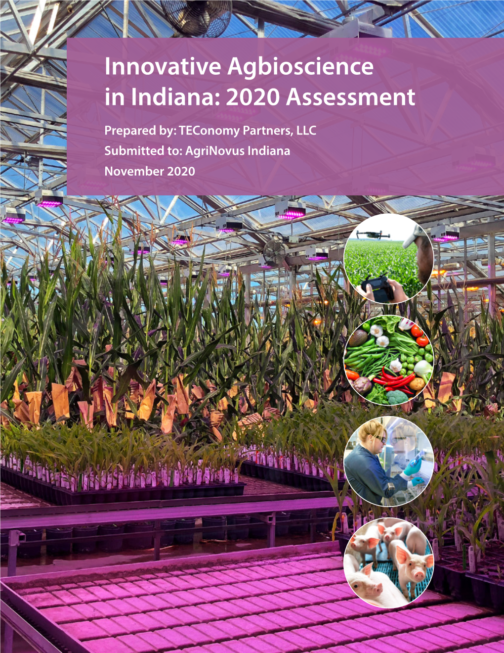Innovative Agbioscience in Indiana: 2020 Assessment