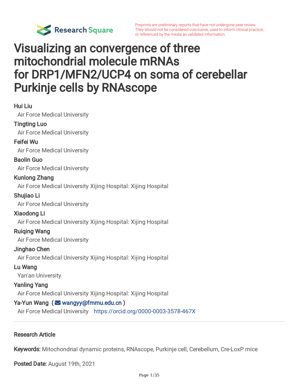 Visualizing an Convergence of Three Mitochondrial Molecule Mrnas for DRP1/MFN2/UCP4 on Soma of Cerebellar Purkinje Cells by Rnascope