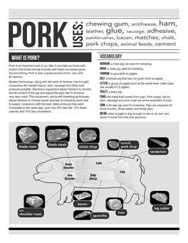 What Is PORK? VOCABULARY Barrow: a Male Pig Not Used for Breeding