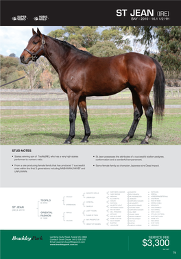 Stallion Brochure