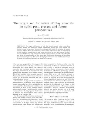 The Origin and Formation of Clay Minerals in Soils: Past, Present and Future Perspectives