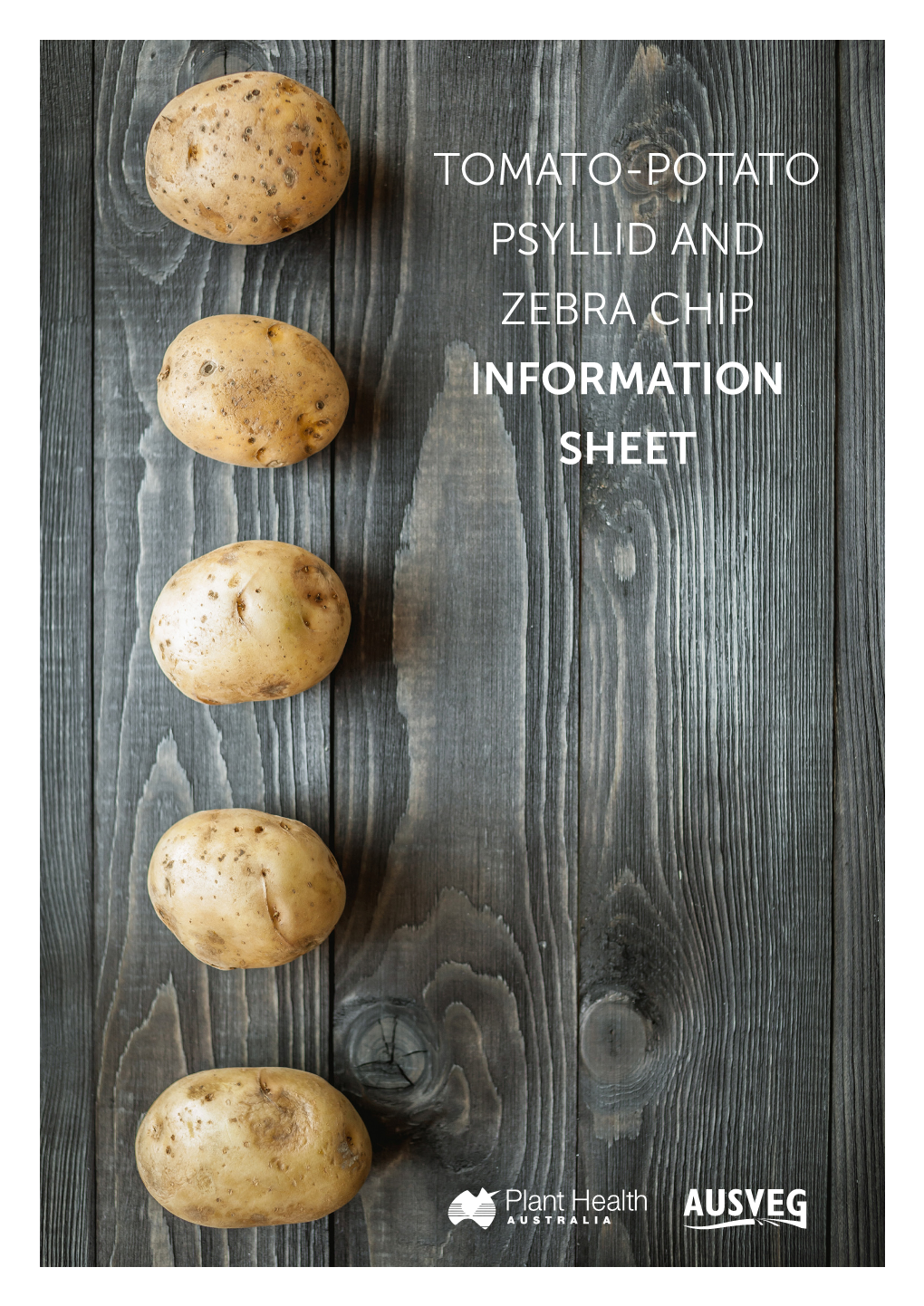 Tomato-Potato Psyllid and Zebra Chip Information Sheet Tomato-Potato Psyllid and Zebra Chip Information Sheet