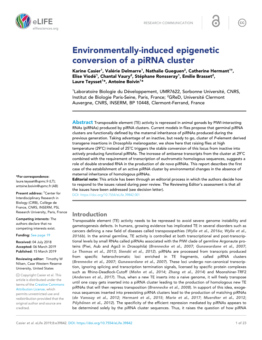 Environmentally-Induced Epigenetic Conversion of a Pirna Cluster