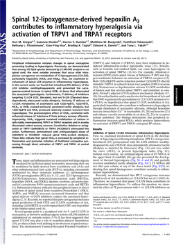 Spinal 12-Lipoxygenase-Derived Hepoxilin A3 Contributes to Inﬂammatory Hyperalgesia Via Activation of TRPV1 and TRPA1 Receptors