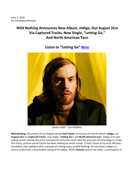 June 5, 2018 Wild Nothing Announces New Album, Indigo, out August