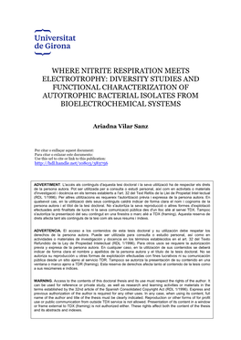 Where Nitrite Respiration Meets Electrotrophy: Diversity Studies and Functional Characterization of Autotrophic Bacterial Isolates from Bioelectrochemical Systems