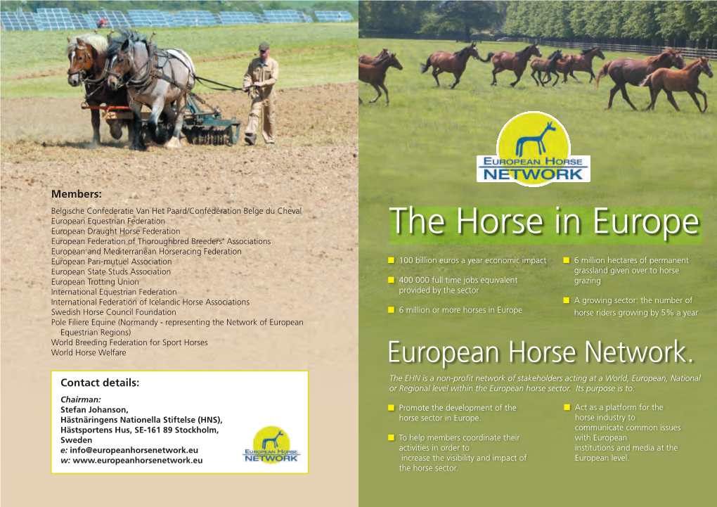 The Horse in Europe