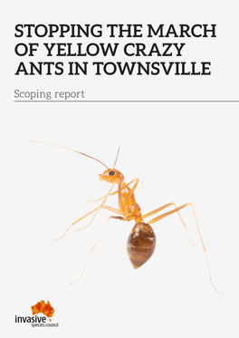 Stopping the March of Yellow Crazy Ants in Townsville