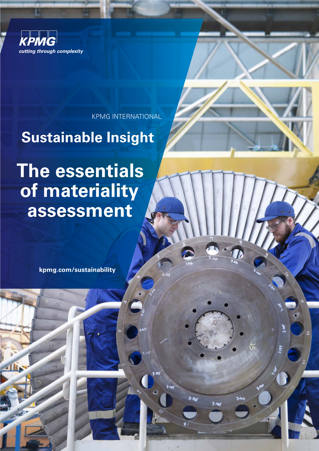 Sustainable Insight the Essentials of Materiality Assessment