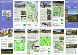 Guide Map to Forests of the Far North