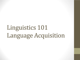 Linguistics 101 Language Acquisition Language Acquisition
