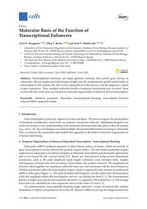 Molecular Basis of the Function of Transcriptional Enhancers
