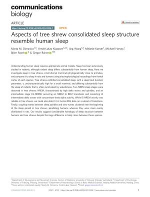 Aspects of Tree Shrew Consolidated Sleep Structure Resemble Human Sleep