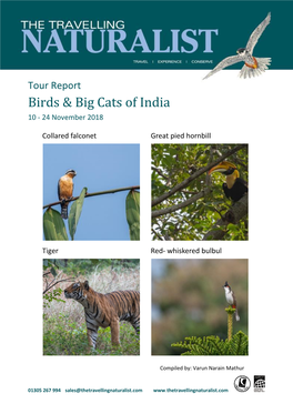 Birds & Big Cats of India