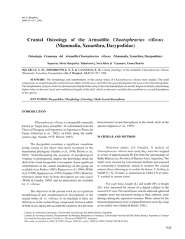 Cranial Osteology of the Armadillo Chaetophractus Villosus (Mammalia, Xenarthra, Dasypodidae)