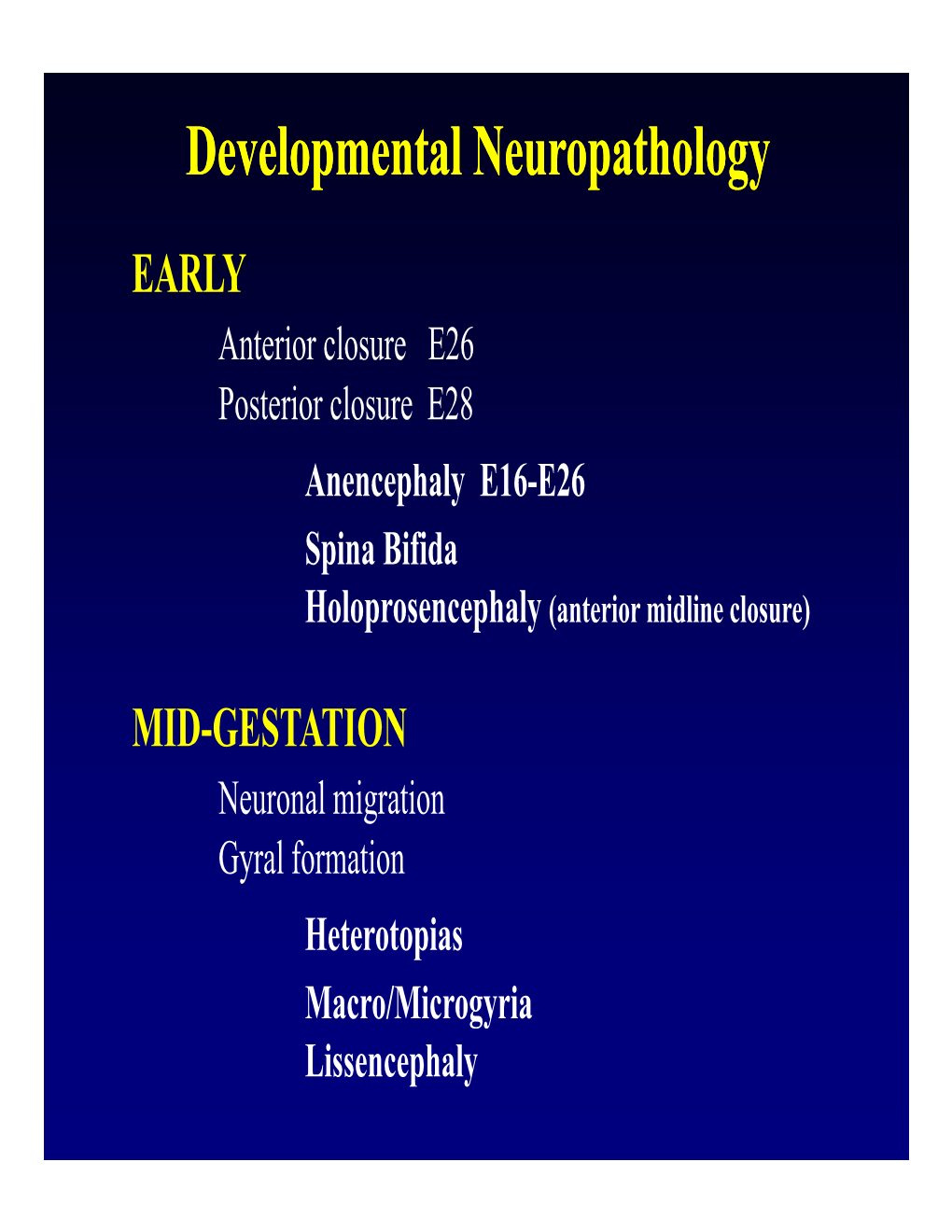 Developmental Neuropathology