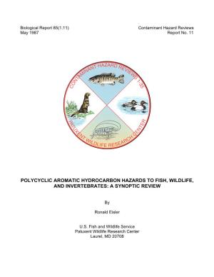 Paper: Polycylic Aromatic Hydrocarbon Hazards To