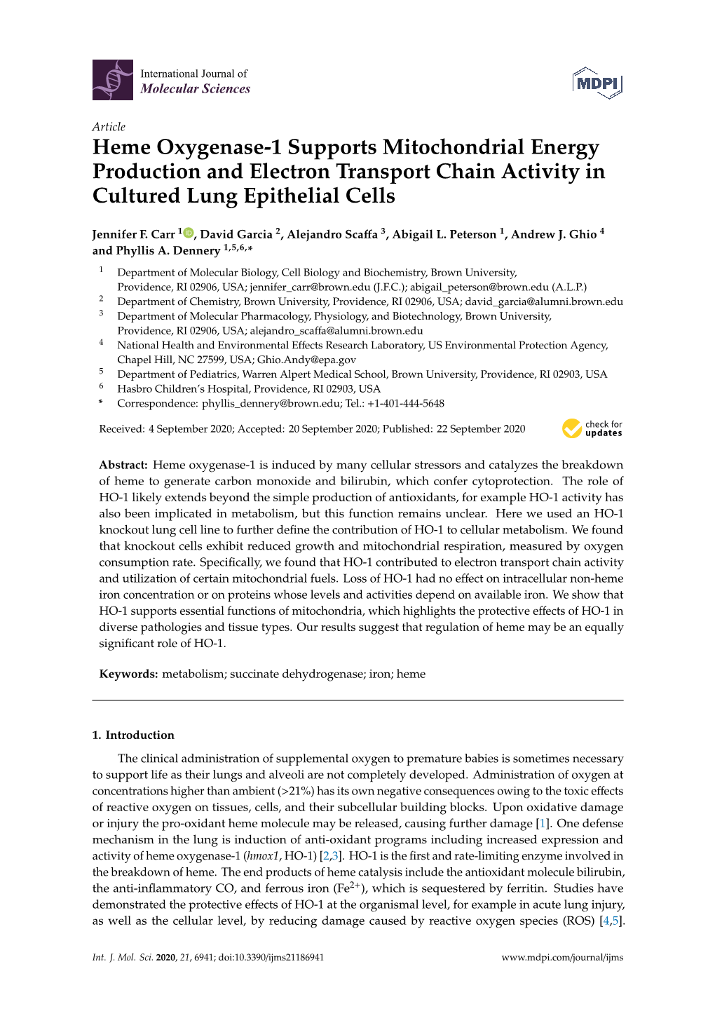 Heme Oxygenase-1 Supports Mitochondrial Energy Production and Electron Transport Chain Activity in Cultured Lung Epithelial Cells