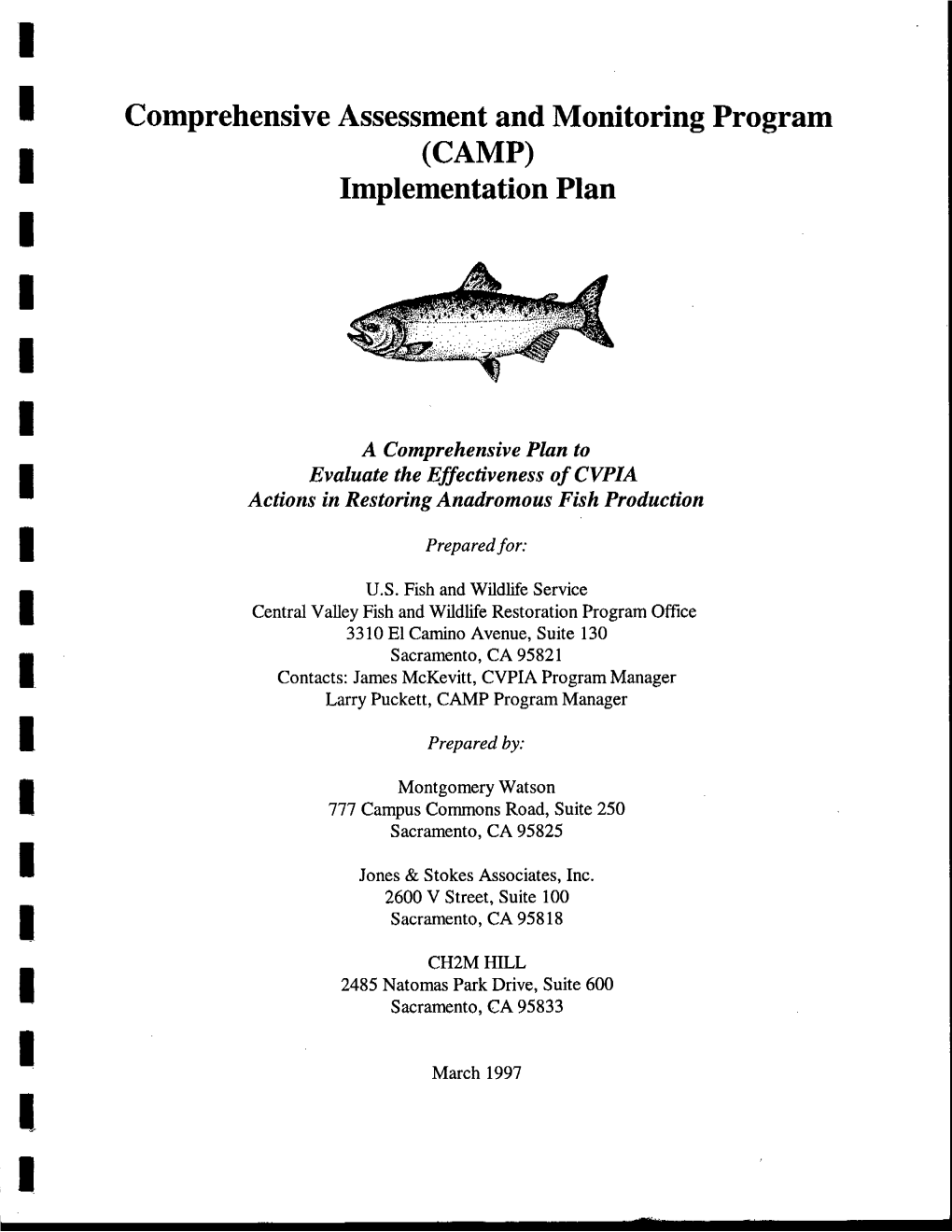 CAMP Implementation Plan Organization