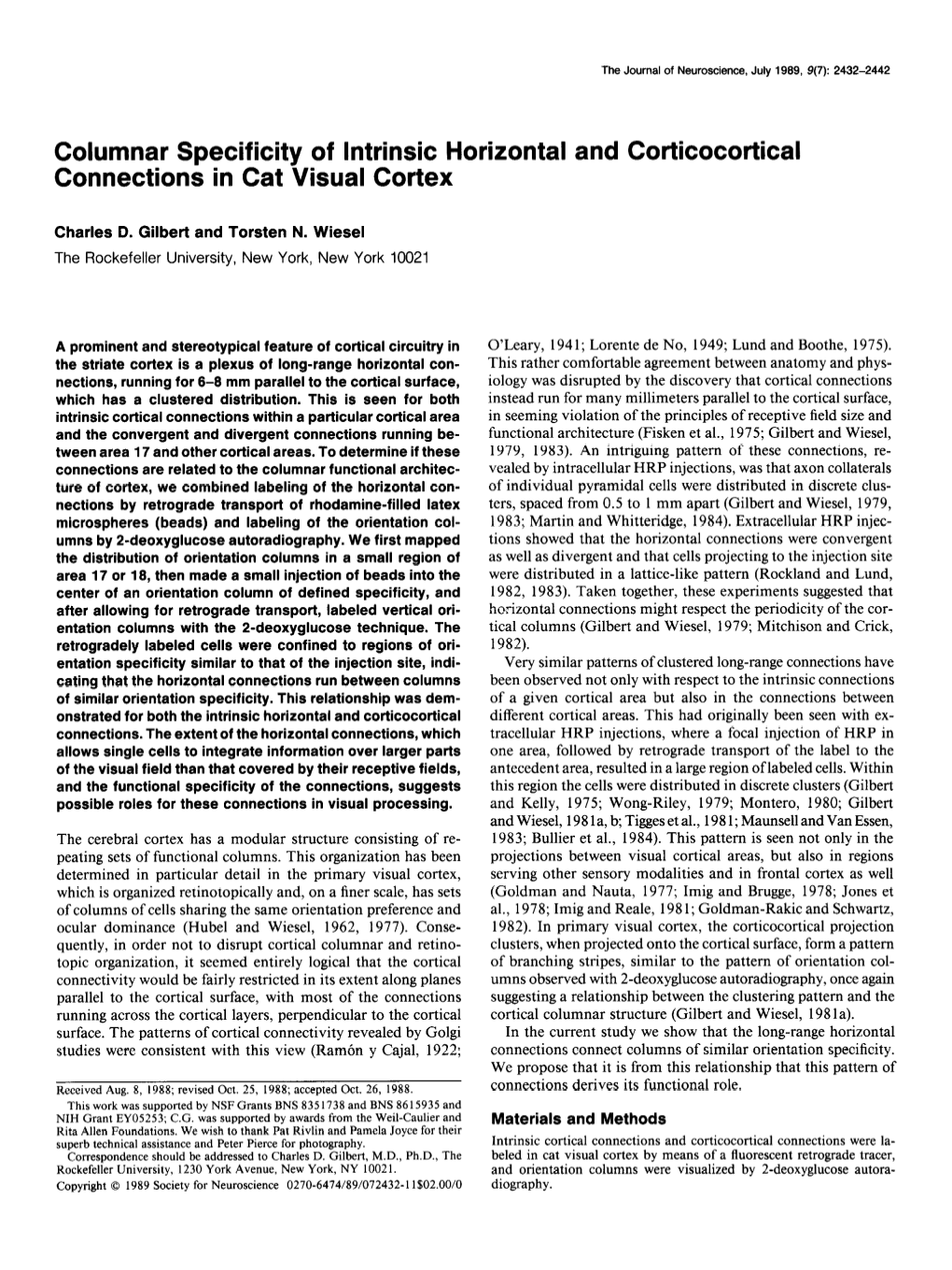 Columnar Specificity of Intrinsic Horizontal and Corticocortical Connections in Cat Visual Cortex