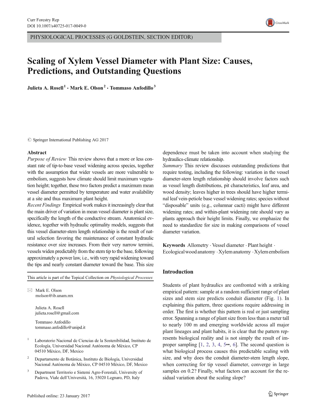 Scaling of Xylem Vessel Diameter with Plant Size: Causes, Predictions, and Outstanding Questions