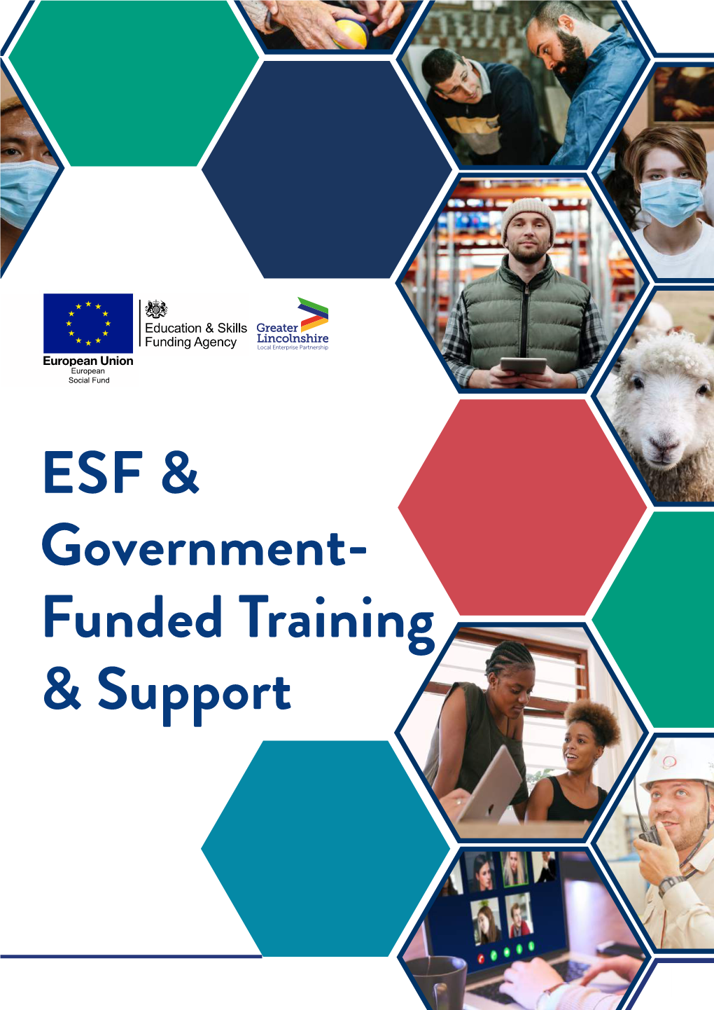 ESF & Government- Funded Training & Support
