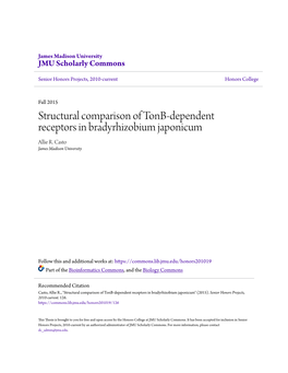 Structural Comparison of Tonb-Dependent Receptors in Bradyrhizobium Japonicum Allie R