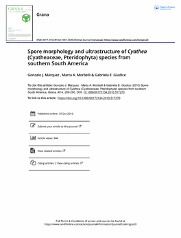Spore Morphology and Ultrastructure of Cyathea (Cyatheaceae, Pteridophyta) Species from Southern South America