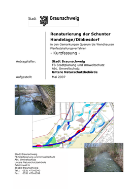 Renaturierung Der Schunter Hondelage/Dibbesdorf