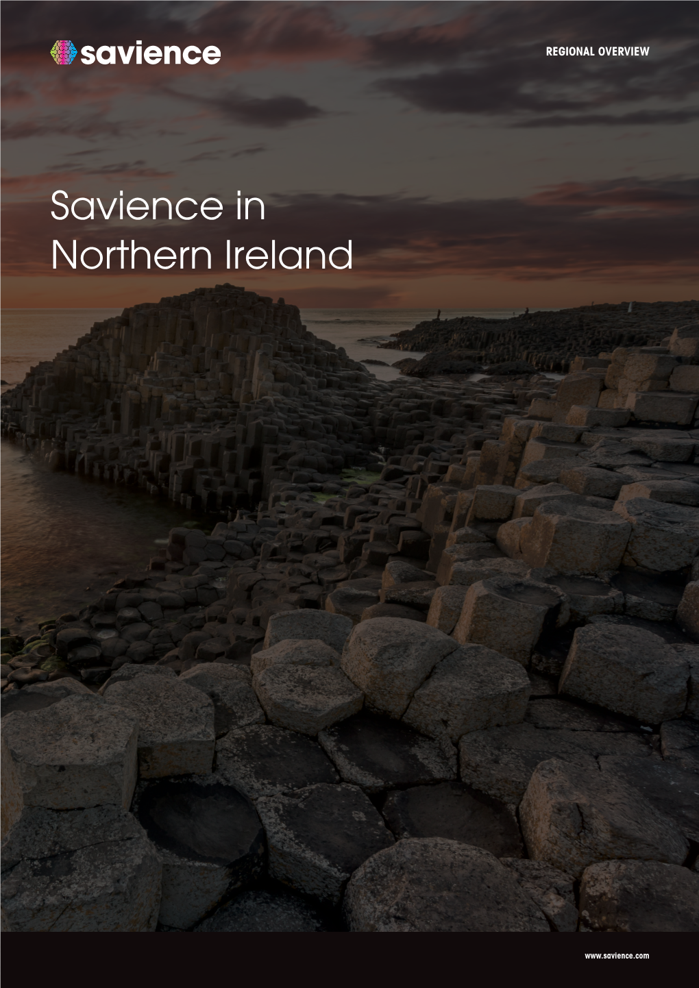 Savience in Northern Ireland