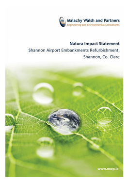 Natura Impact Statement Shannon Airport Embankments