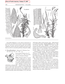 Flora of North America, Volume 27, 2007
