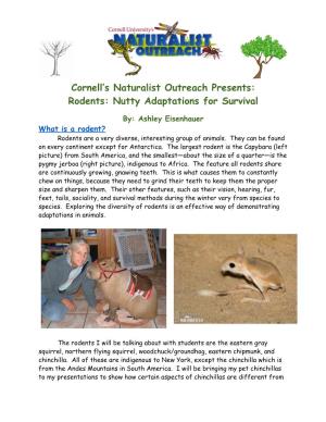 Cornell's Naturalist Outreach Presents: Rodents: Nutty Adaptations For