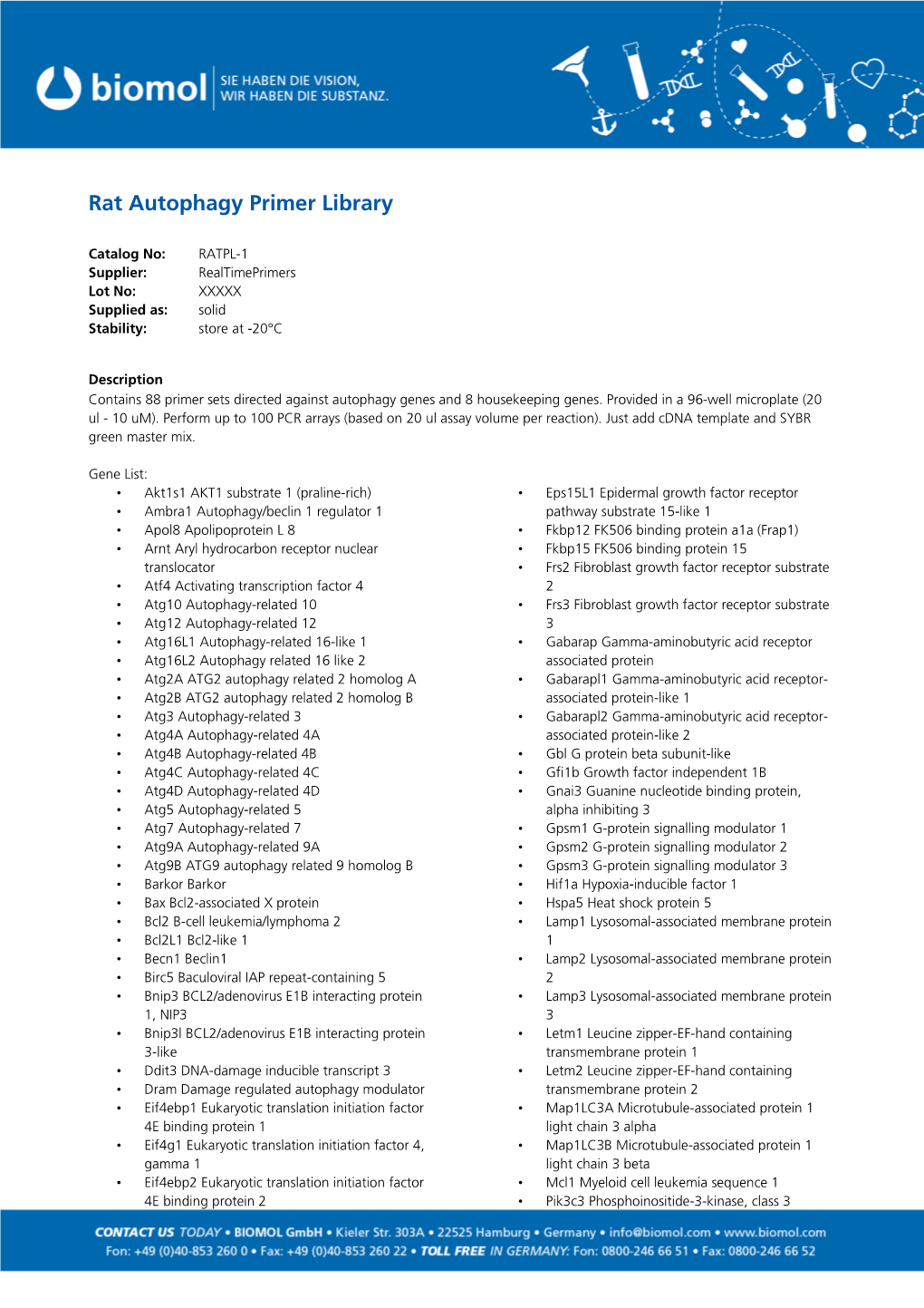 Rat Autophagy Primer Library