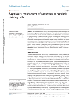 Regulatory Mechanisms of Apoptosis in Regularly Dividing Cells