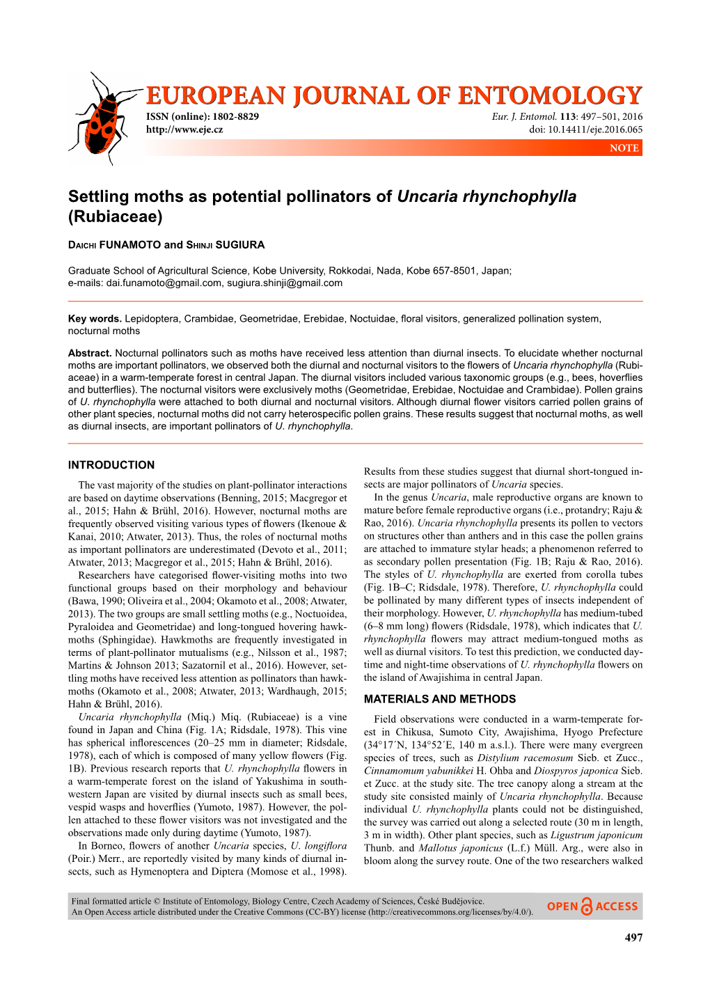 Settling Moths As Potential Pollinators of Uncaria Rhynchophylla (Rubiaceae)