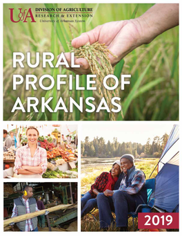 Rural Profile of Arkansas 2019 MP551