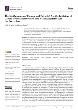 The 3,4-Quinones of Estrone and Estradiol Are the Initiators of Cancer Whereas Resveratrol and N-Acetylcysteine Are the Preventers