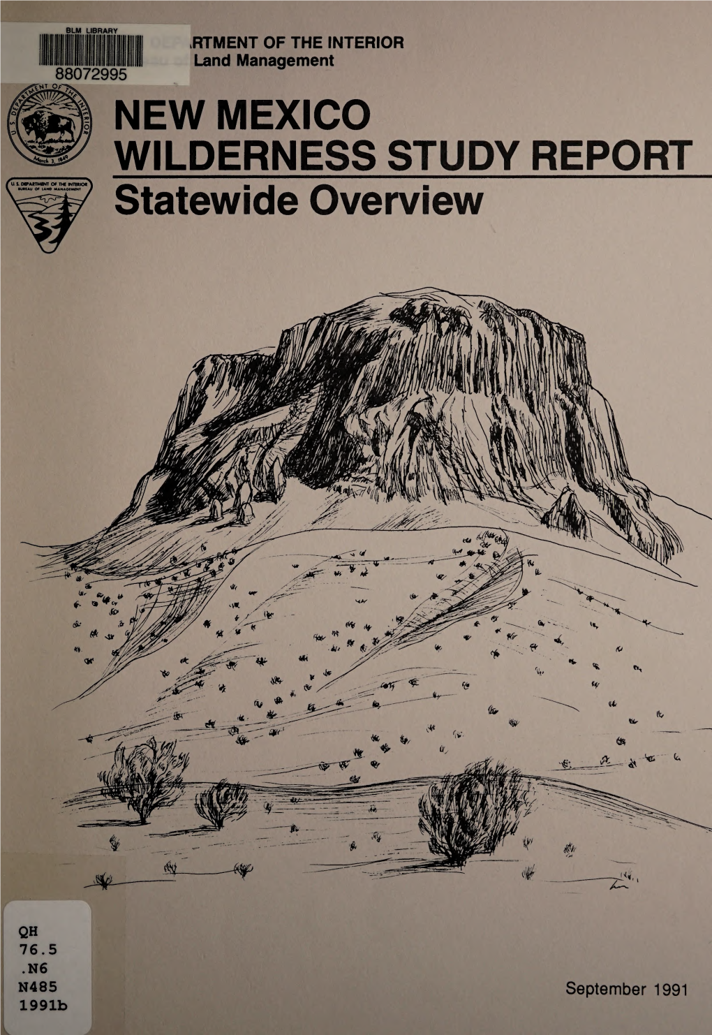 New Mexico Wilderness Study Report : Statewide Overview