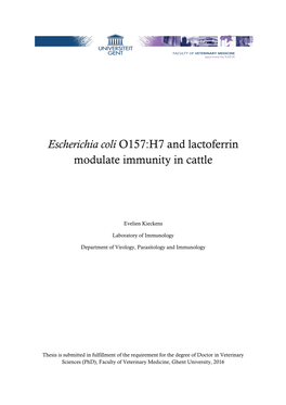 Escherichia Coli O157:H7 and Lactoferrin Modulate Immunity in Cattle