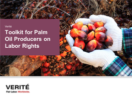 Toolkit for Palm Oil Producers on Labor Rights Table of Contents